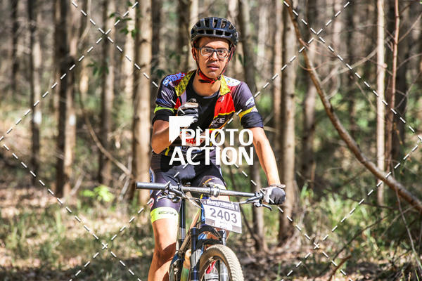 Buy your photos of the event16 Edio Maratona 100Km Canaviais on Fotop