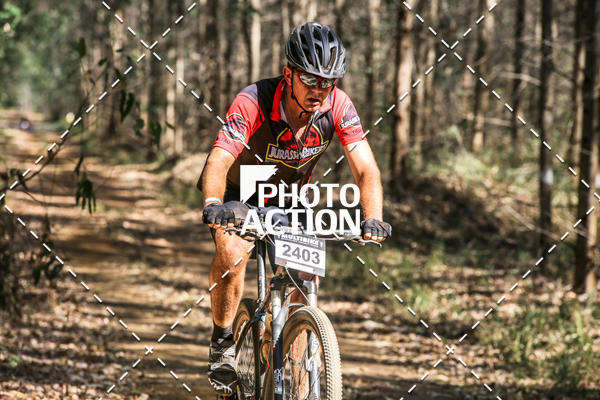 Buy your photos of the event16 Edio Maratona 100Km Canaviais on Fotop