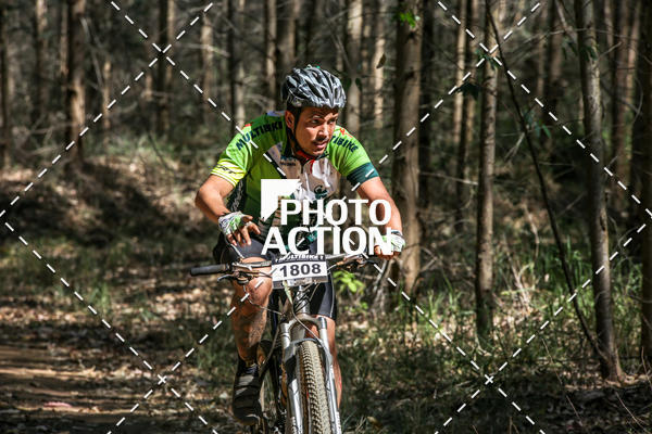 Buy your photos of the event16 Edio Maratona 100Km Canaviais on Fotop