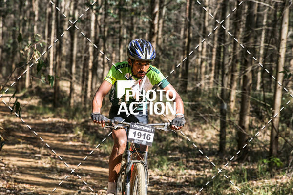Buy your photos of the event16 Edio Maratona 100Km Canaviais on Fotop