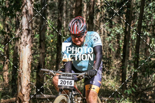 Buy your photos of the event16 Edio Maratona 100Km Canaviais on Fotop