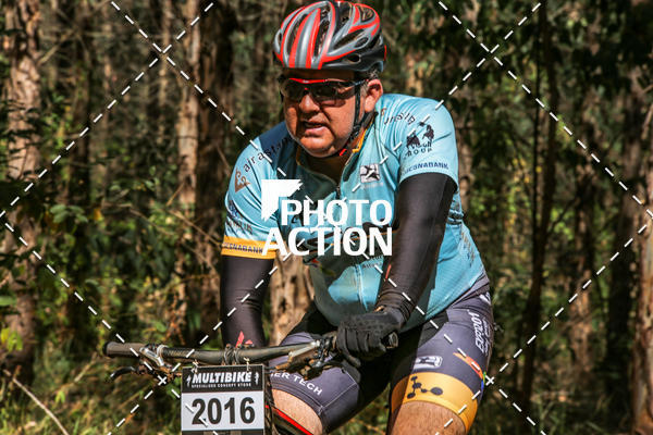 Buy your photos of the event16 Edio Maratona 100Km Canaviais on Fotop