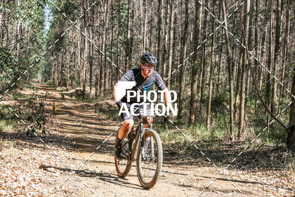 Buy your photos of the event16 Edio Maratona 100Km Canaviais on Fotop