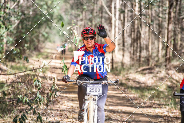Buy your photos of the event16 Edio Maratona 100Km Canaviais on Fotop