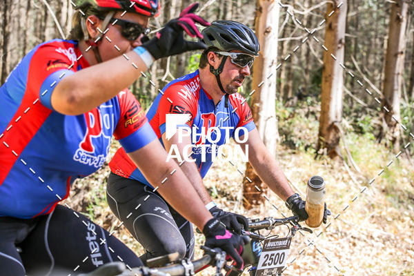 Buy your photos of the event16 Edio Maratona 100Km Canaviais on Fotop