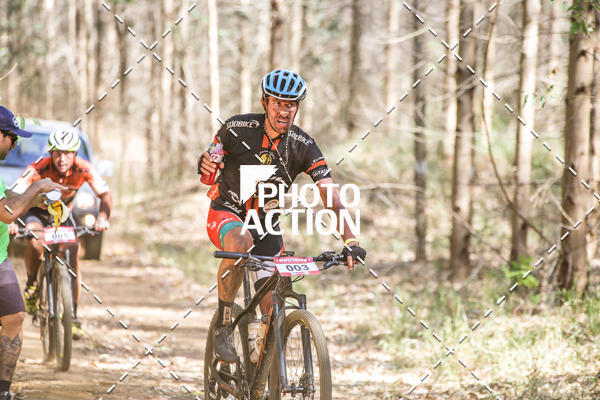 Buy your photos of the event16 Edio Maratona 100Km Canaviais on Fotop