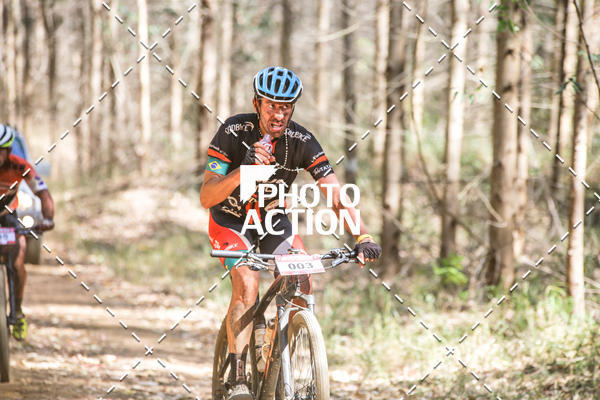 Buy your photos of the event16 Edio Maratona 100Km Canaviais on Fotop