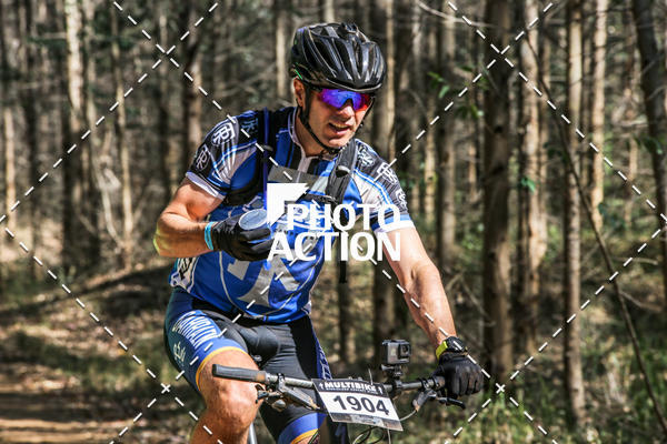 Buy your photos of the event16 Edio Maratona 100Km Canaviais on Fotop