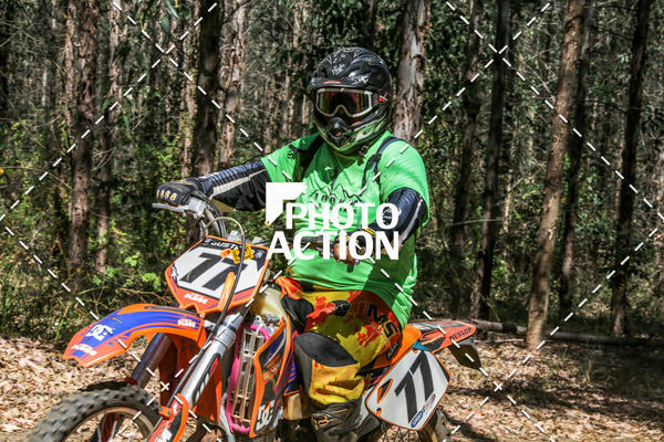 Buy your photos of the event16 Edio Maratona 100Km Canaviais on Fotop