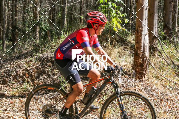 Buy your photos of the event16 Edio Maratona 100Km Canaviais on Fotop