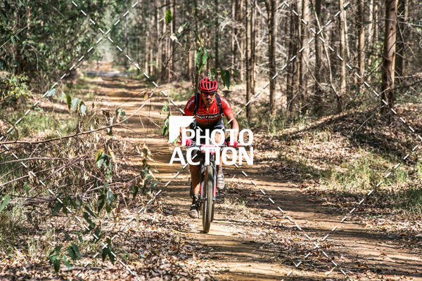 Buy your photos of the event16 Edio Maratona 100Km Canaviais on Fotop