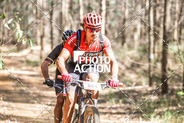 Buy your photos of the event16 Edio Maratona 100Km Canaviais on Fotop