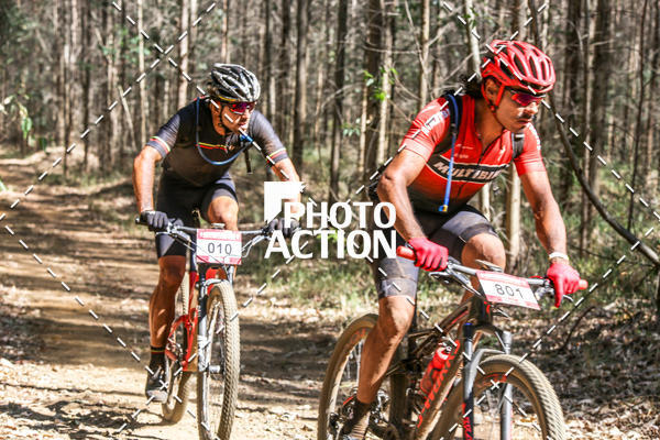 Buy your photos of the event16 Edio Maratona 100Km Canaviais on Fotop