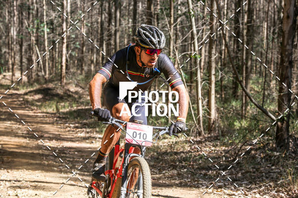 Buy your photos of the event16 Edio Maratona 100Km Canaviais on Fotop