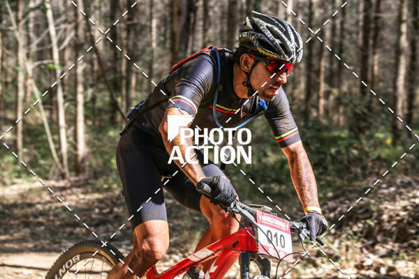 Buy your photos of the event16 Edio Maratona 100Km Canaviais on Fotop