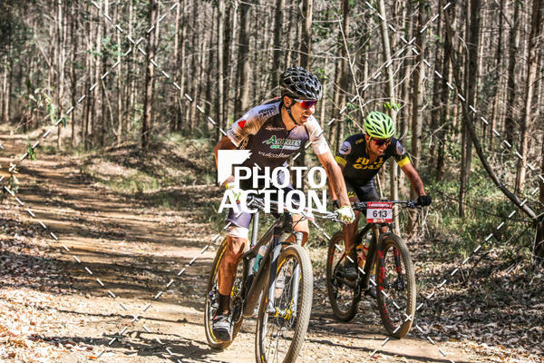 Buy your photos of the event16 Edio Maratona 100Km Canaviais on Fotop