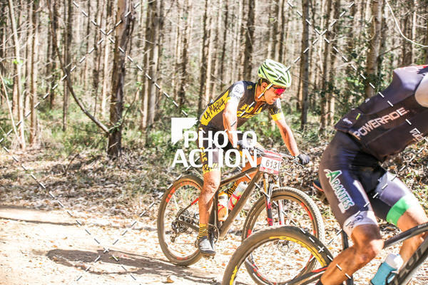 Buy your photos of the event16 Edio Maratona 100Km Canaviais on Fotop