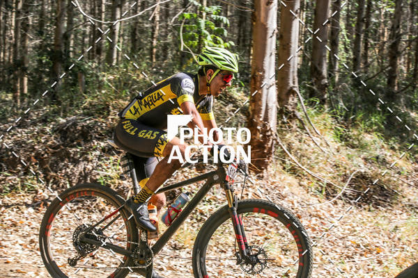 Buy your photos of the event16 Edio Maratona 100Km Canaviais on Fotop