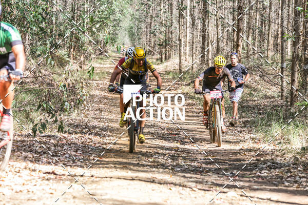 Buy your photos of the event16 Edio Maratona 100Km Canaviais on Fotop