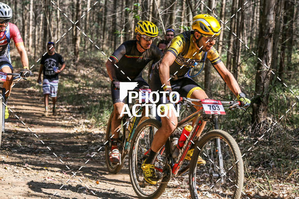 Buy your photos of the event16 Edio Maratona 100Km Canaviais on Fotop