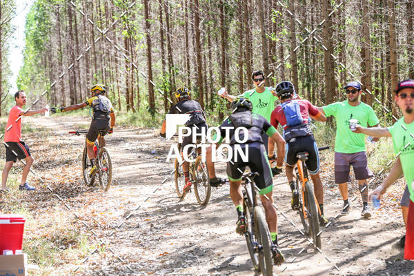 Buy your photos of the event16 Edio Maratona 100Km Canaviais on Fotop