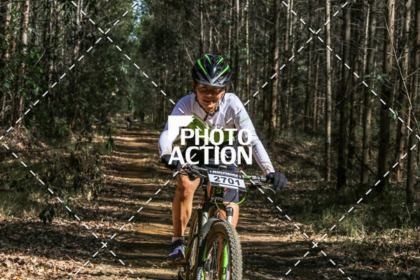 Buy your photos of the event16 Edio Maratona 100Km Canaviais on Fotop