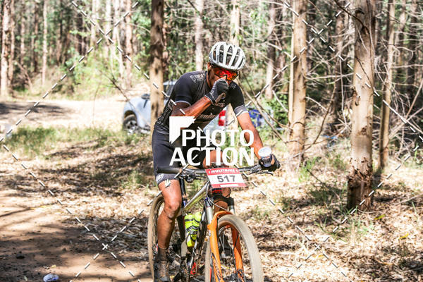 Buy your photos of the event16 Edio Maratona 100Km Canaviais on Fotop