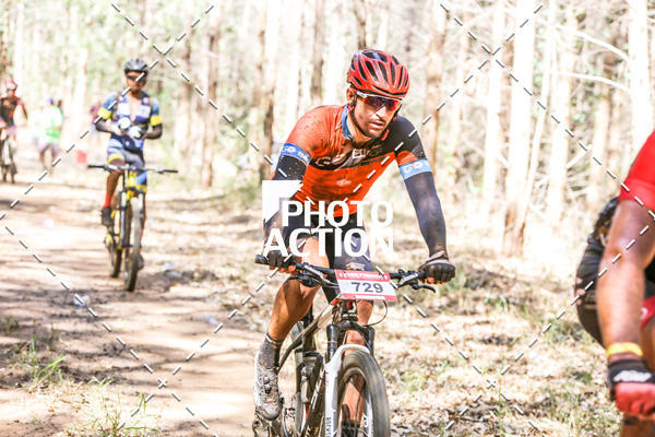 Buy your photos of the event16 Edio Maratona 100Km Canaviais on Fotop