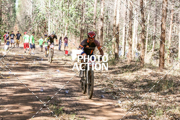 Buy your photos of the event16 Edio Maratona 100Km Canaviais on Fotop