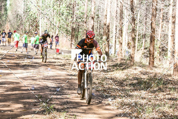 Buy your photos of the event16 Edio Maratona 100Km Canaviais on Fotop