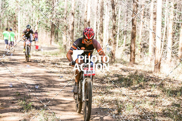 Buy your photos of the event16 Edio Maratona 100Km Canaviais on Fotop