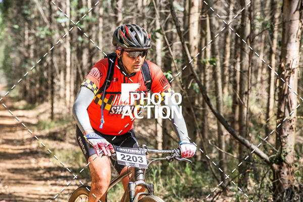 Buy your photos of the event16 Edio Maratona 100Km Canaviais on Fotop