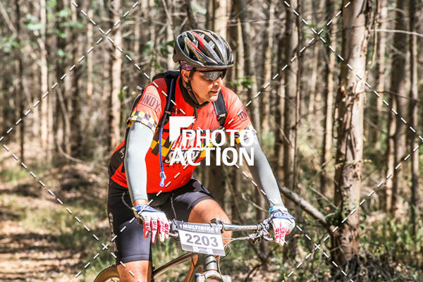 Buy your photos of the event16 Edio Maratona 100Km Canaviais on Fotop