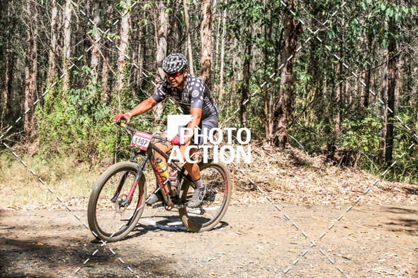 Buy your photos of the event16 Edio Maratona 100Km Canaviais on Fotop