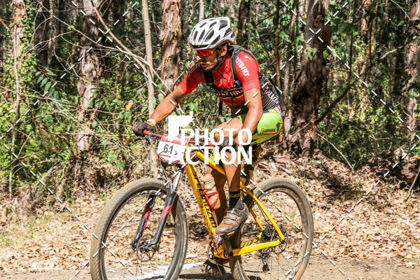 Buy your photos of the event16 Edio Maratona 100Km Canaviais on Fotop