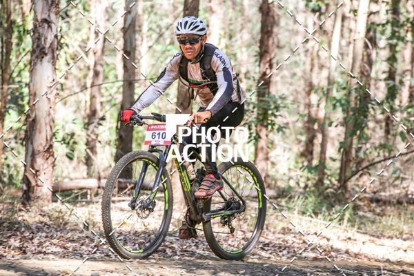 Buy your photos of the event16 Edio Maratona 100Km Canaviais on Fotop