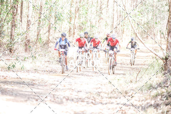 Buy your photos of the event16 Edio Maratona 100Km Canaviais on Fotop