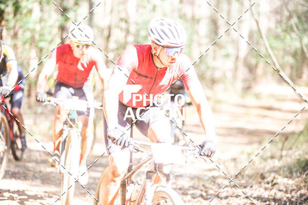 Buy your photos of the event16 Edio Maratona 100Km Canaviais on Fotop