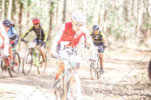 Buy your photos of the event16 Edio Maratona 100Km Canaviais on Fotop