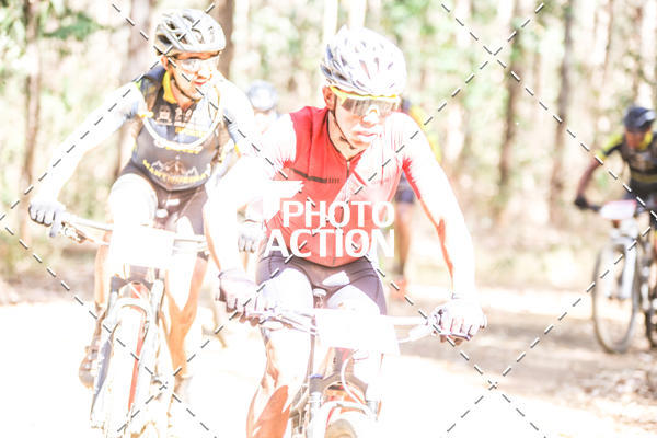 Buy your photos of the event16 Edio Maratona 100Km Canaviais on Fotop