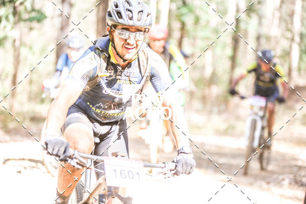 Buy your photos of the event16 Edio Maratona 100Km Canaviais on Fotop