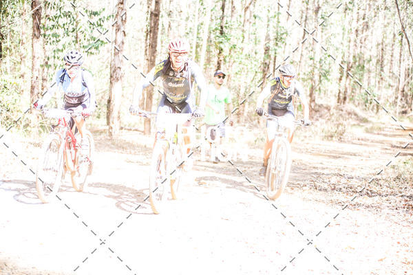 Buy your photos of the event16 Edio Maratona 100Km Canaviais on Fotop