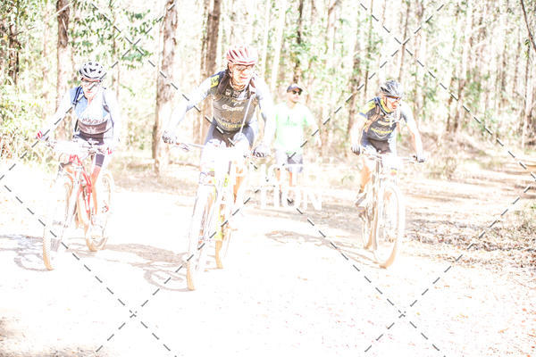 Buy your photos of the event16 Edio Maratona 100Km Canaviais on Fotop