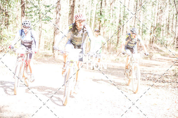 Buy your photos of the event16 Edio Maratona 100Km Canaviais on Fotop