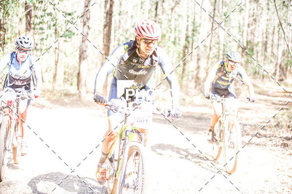 Buy your photos of the event16 Edio Maratona 100Km Canaviais on Fotop