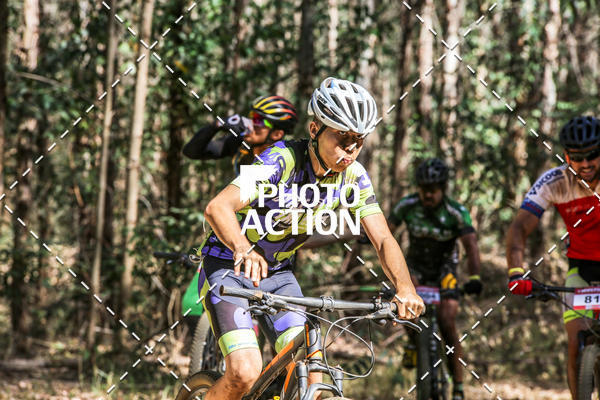 Buy your photos of the event16 Edio Maratona 100Km Canaviais on Fotop