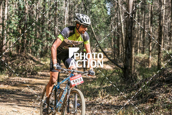 Buy your photos of the event16 Edio Maratona 100Km Canaviais on Fotop