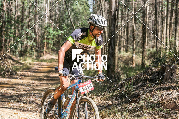Buy your photos of the event16 Edio Maratona 100Km Canaviais on Fotop