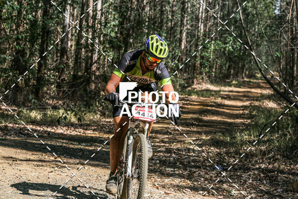 Buy your photos of the event16 Edio Maratona 100Km Canaviais on Fotop