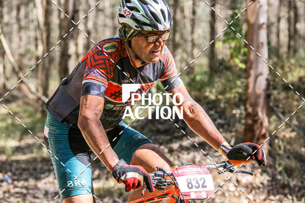 Buy your photos of the event16 Edio Maratona 100Km Canaviais on Fotop